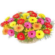 Букет роз - АЛЬТ