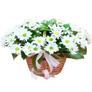 Букет роз - АЛЬТ