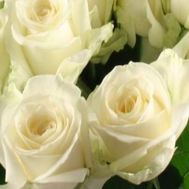 Букет белых роз (РОЗЫ ПОШТУЧНО) №102
