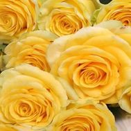 Букет желтых роз (РОЗЫ ПОШТУЧНО) №104