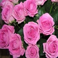Букет розовых роз (РОЗЫ ПОШТУЧНО) №103