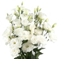 Букет роз - АЛЬТ