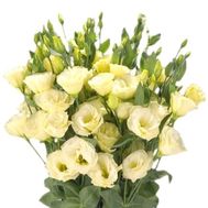 Букет роз - АЛЬТ