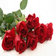 Букет из импортных роз