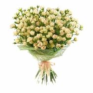 51 кустовая роза