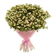 101 кустовая роза