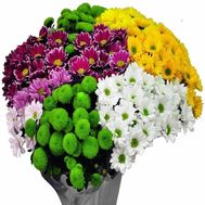 Букет роз - АЛЬТ