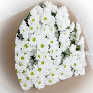 Букет роз - АЛЬТ