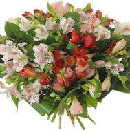 Букет альстромерий №460