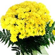 Букет роз - АЛЬТ