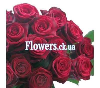 Букет роз (РОЗЫ ПОШТУЧНО) №101