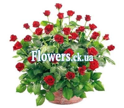 Букет роз - АЛЬТ