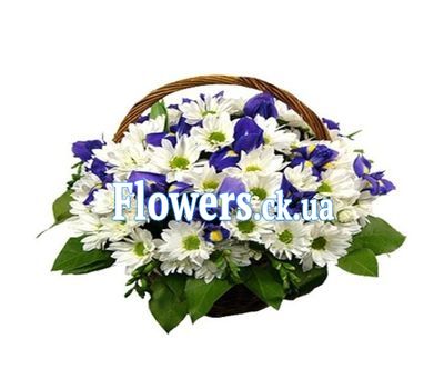 Корзина цветов из ирисов и хризантем №300