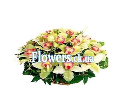 Букет роз - АЛЬТ