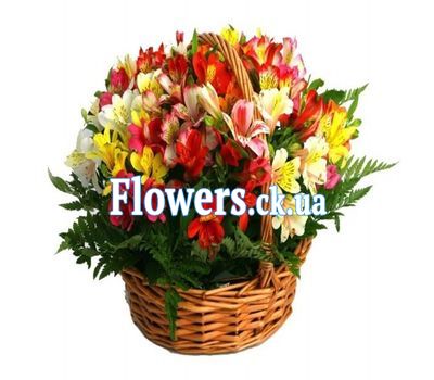 Букет роз - АЛЬТ