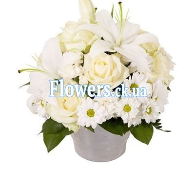 Букет роз - АЛЬТ