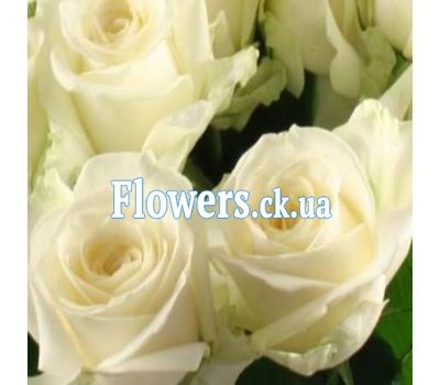 Букет белых роз (РОЗЫ ПОШТУЧНО) №102