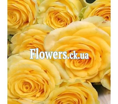 Букет желтых роз (РОЗЫ ПОШТУЧНО) №104