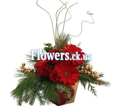 Букет роз - АЛЬТ