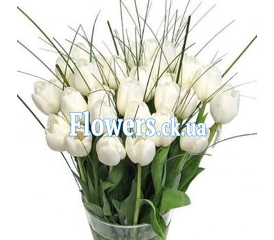 Тюльпаны Черкассы №811