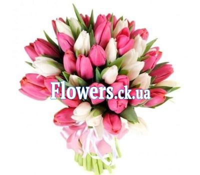 Букет тюльпанов №816