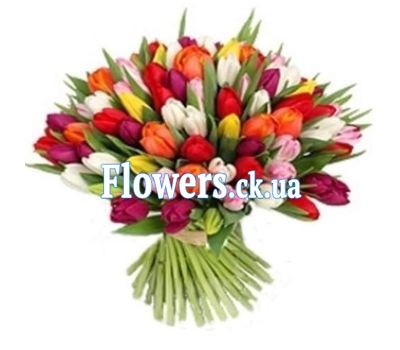 Огромный букет тюльпанов №821