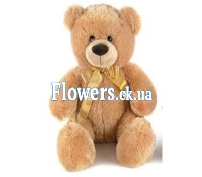 Громадный коричневый мишка №742