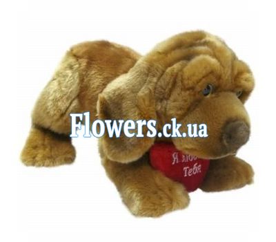 Букет роз - АЛЬТ