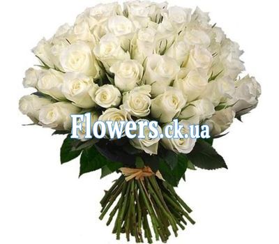 Букет із 51 білої імпортної троянди