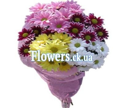 Bouquet of flowers from multi-colored chrysanthemums