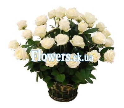 Кошик 29 білих троянд
