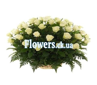 Кошик 51 білої троянди