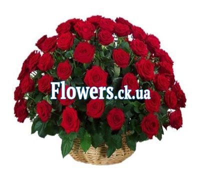 Кошик 51 червона троянда