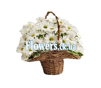 Кошик білих ромашкоподібних хризантем