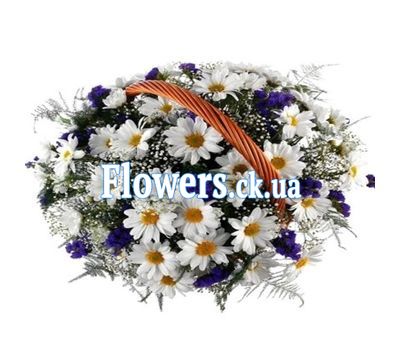 Кошик ромашкових хризантем