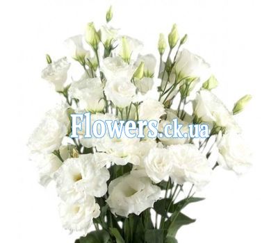 Букет роз - АЛЬТ