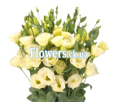 Букет роз - АЛЬТ