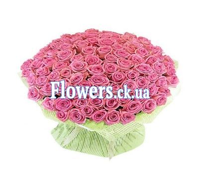 Букет из 101 розовой розы