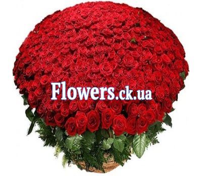 Букет цветов из 501 красной розы