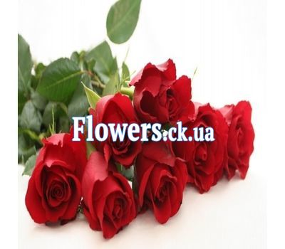 Букет роз - АЛЬТ