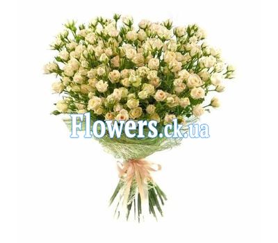 51 кустовая роза