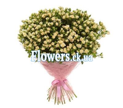 101 кустовая роза