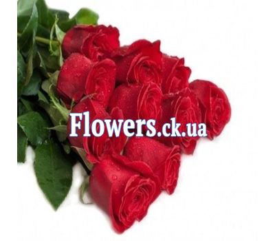 Букет роз - АЛЬТ