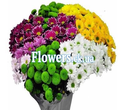 Букет роз - АЛЬТ