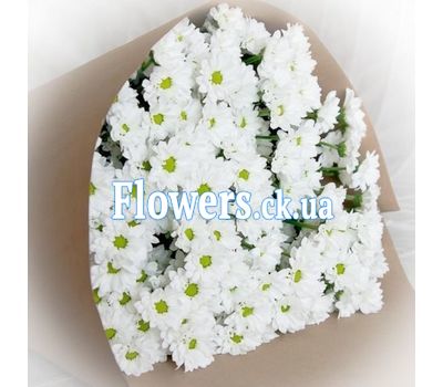 Букет роз - АЛЬТ