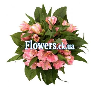 Букет из альстромерии №459