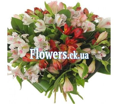 Букет альстромерий №460