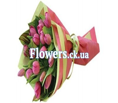 Букет из 19 тюльпанов