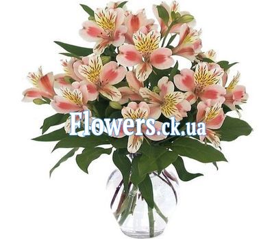 Букет роз - АЛЬТ