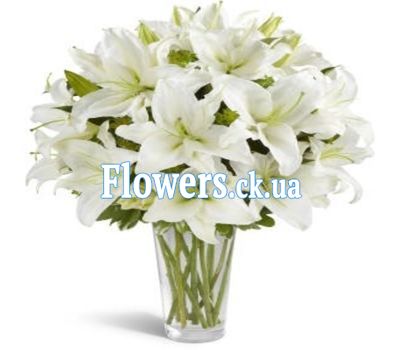 Букет 11 білих лілій